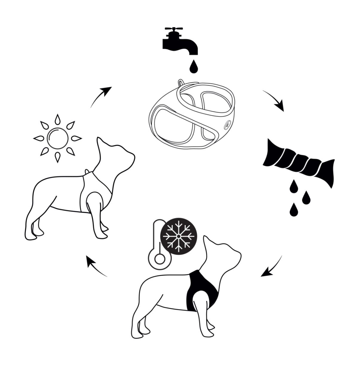 KYFLIE MOMENTUM AIR-sele