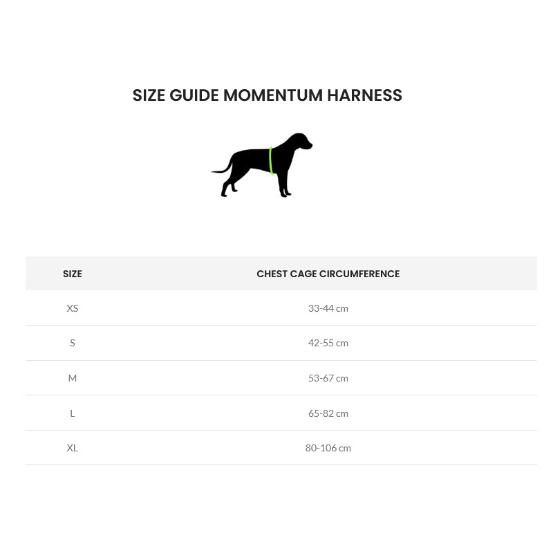 Kyflie Momentum Harness