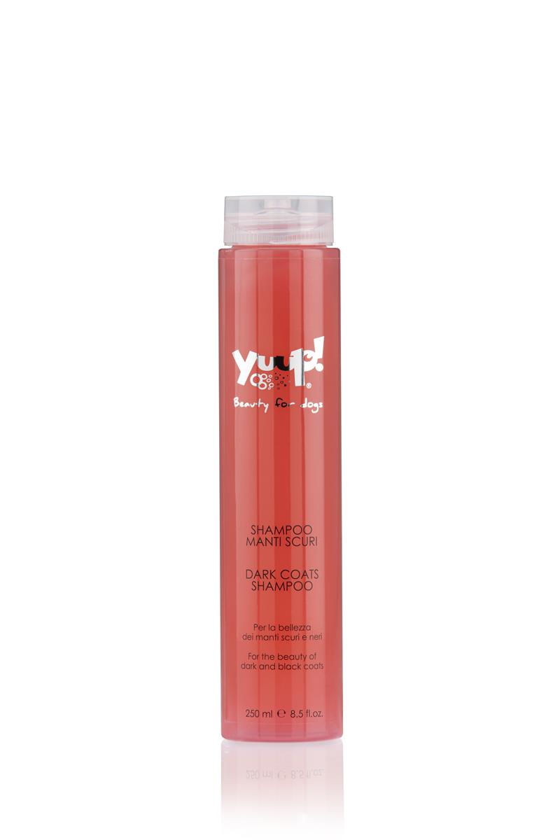YUUP! DARK COATS SHAMPOO 250ML