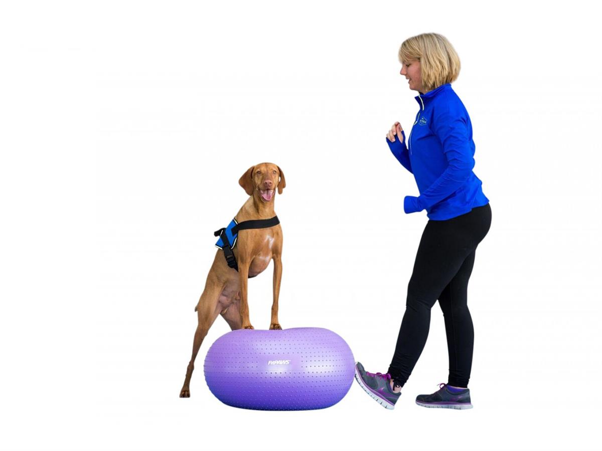 FITPAWS TRAX DONUT
