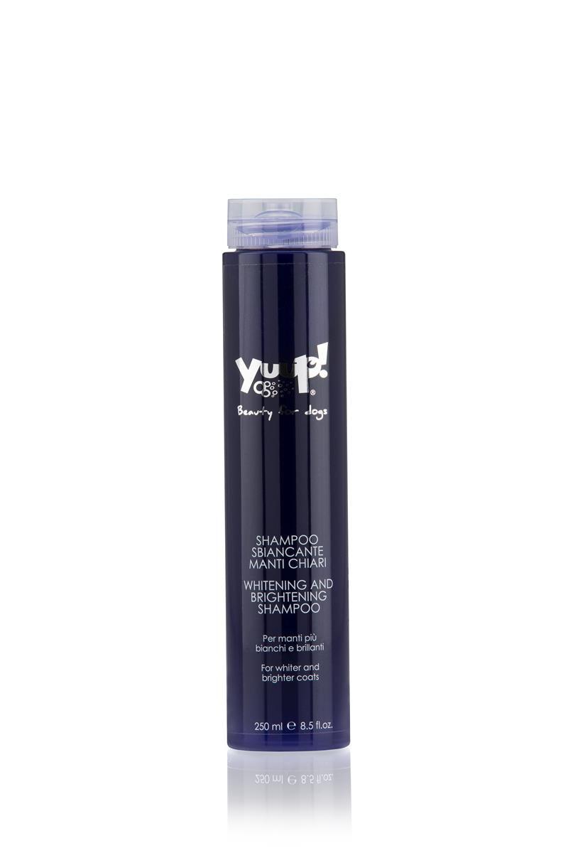 YUUP! WHITENING AND BRIGHTENING SHAMPOO 250ML