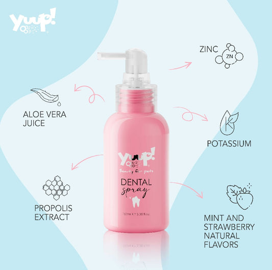 Yuup! Home Dental Spray 100ml